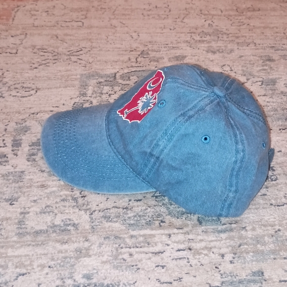 South Carolina Blue Pink Cotton large embroidery Patch Baseball cap - Picture 6 of 6